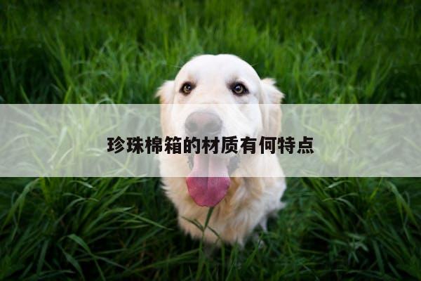 珍珠棉箱的材质有何特点