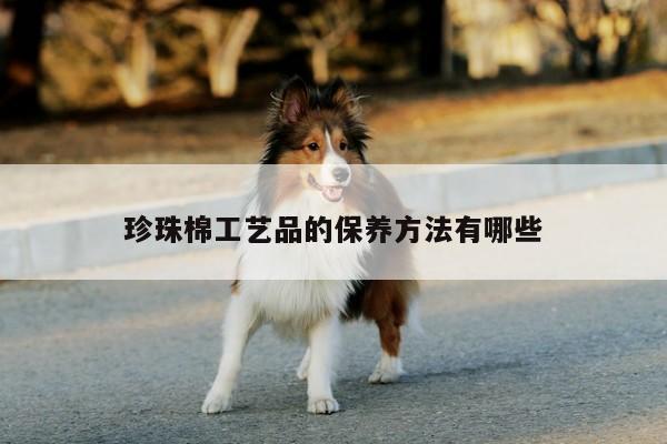 珍珠棉工艺品的保养方法有哪些