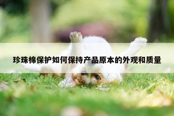 珍珠棉保护如何保持产品原本的外观和质量