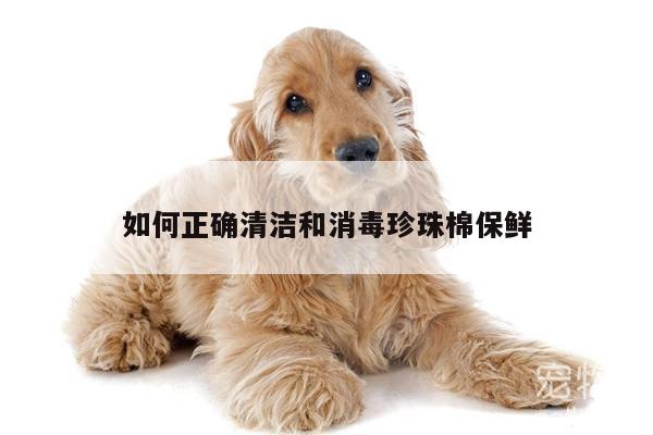 如何正确清洁和消毒珍珠棉保鲜