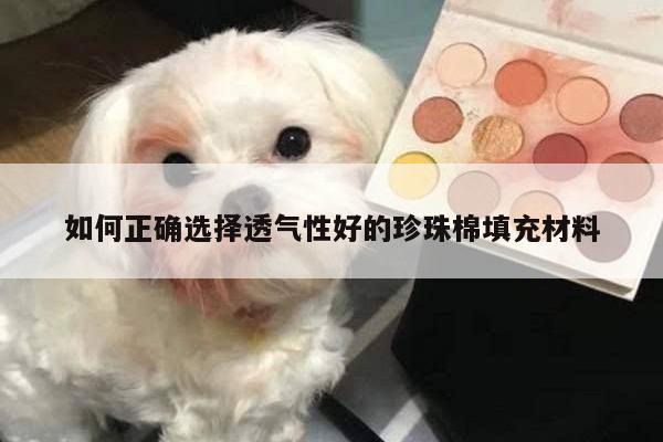 如何正确选择透气性好的珍珠棉填充材料