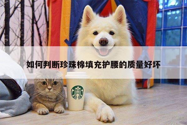 如何判断珍珠棉填充护腰的质量好坏