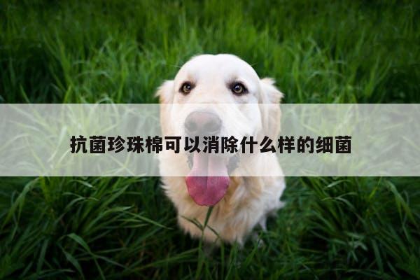 抗菌珍珠棉可以消除什么样的细菌