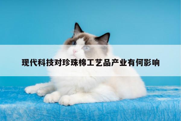 现代科技对珍珠棉工艺品产业有何影响