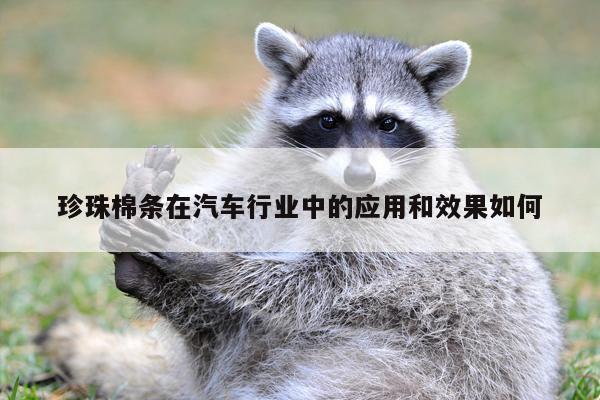 珍珠棉条在汽车行业中的应用和效果如何