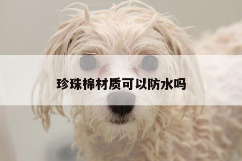 珍珠棉材质可以防水吗