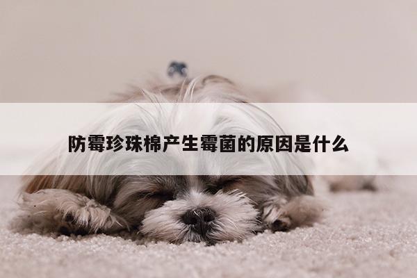 防霉珍珠棉产生霉菌的原因是什么