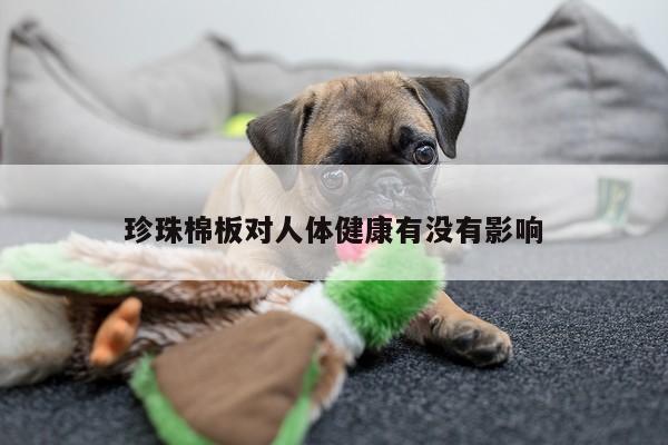 珍珠棉板对人体健康有没有影响