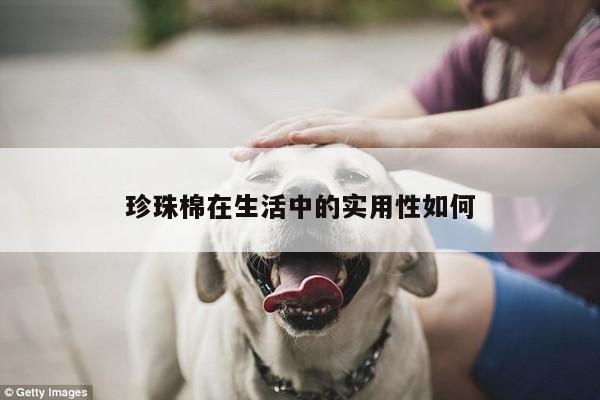 珍珠棉在生活中的实用性如何