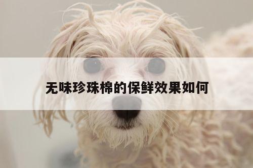 无味珍珠棉的保鲜效果如何