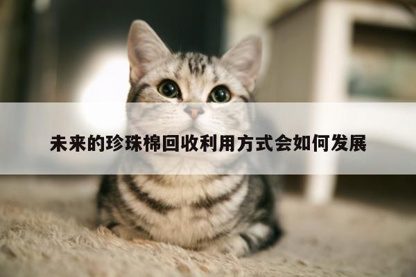 未来的珍珠棉回收利用方式会如何发展