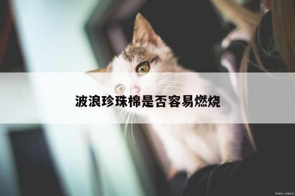 波浪珍珠棉是否容易燃烧