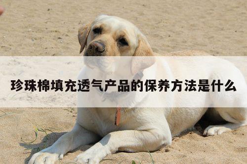 珍珠棉填充透气产品的保养方法是什么