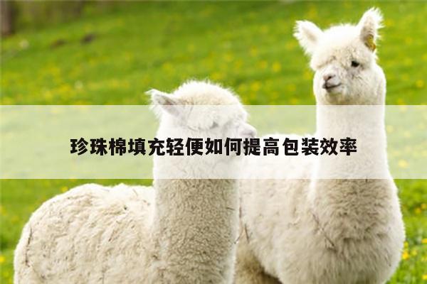 珍珠棉填充轻便如何提高包装效率
